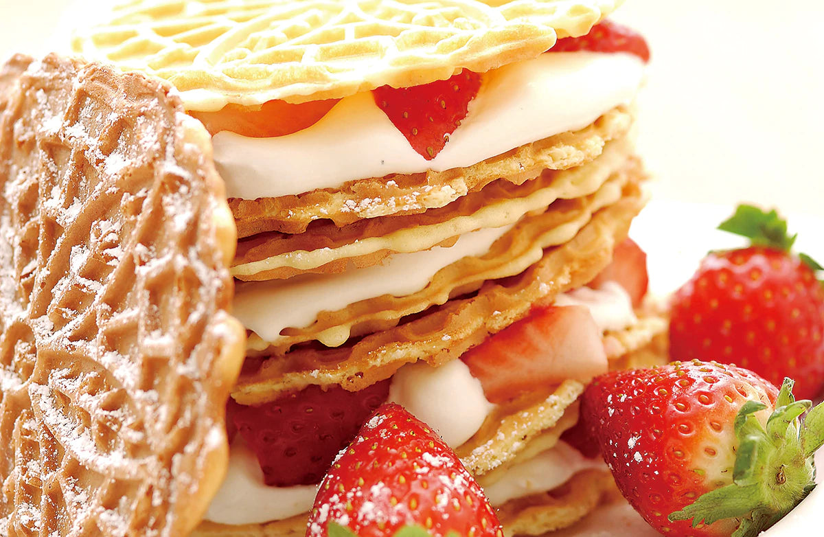 Vitantonio Pizzelle Plates (For Vitantonio Waffle Maker)