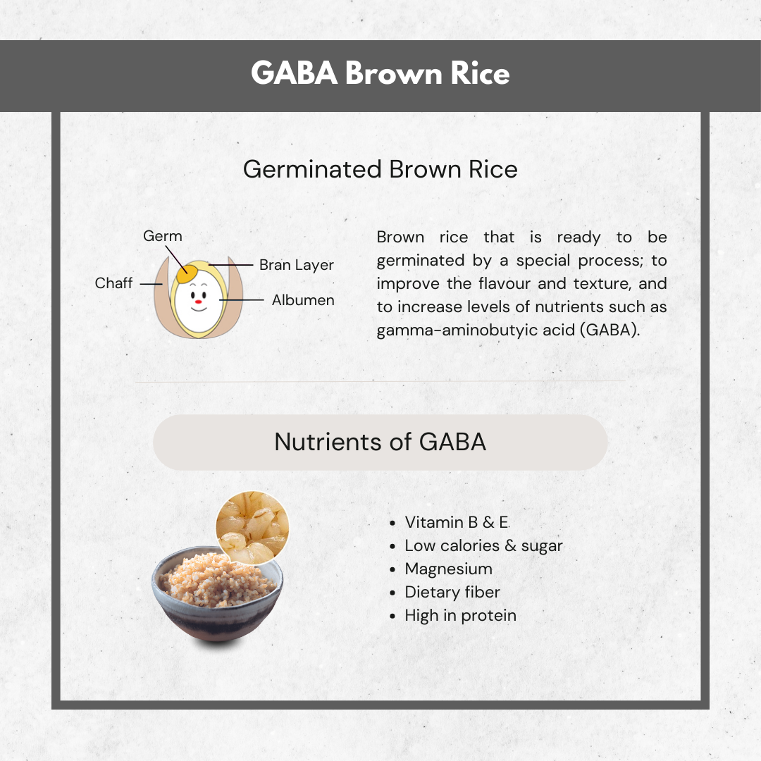 Zojirushi 象印豪熱沸騰迷你 IH 電飯煲｜NP-GKQ05 (0.5 公升)
